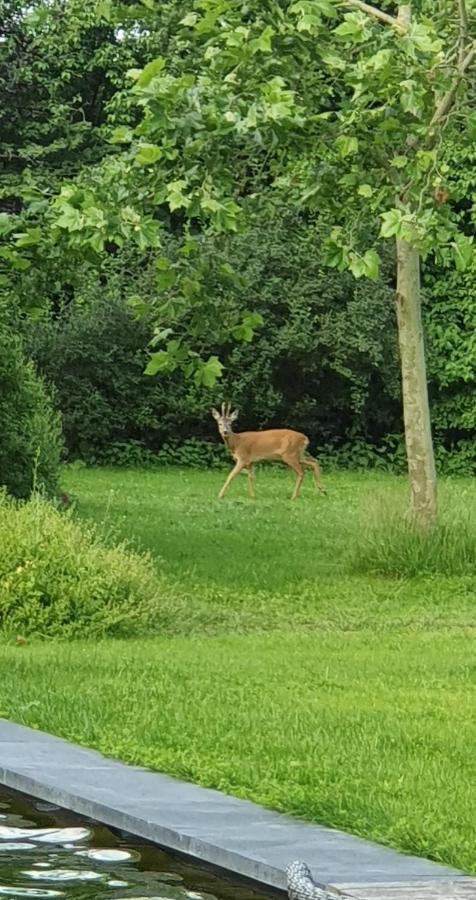 De Appelhoeve Terschuur Zewnętrze zdjęcie